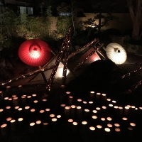 11/4～5、大分県で「うすき竹宵」が開催されました。